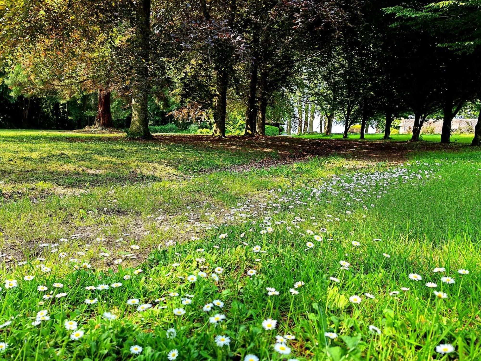 Domaine De L'Isle Maniere Apartment Saint-Quentin-sur-le-Homme Екстериор снимка